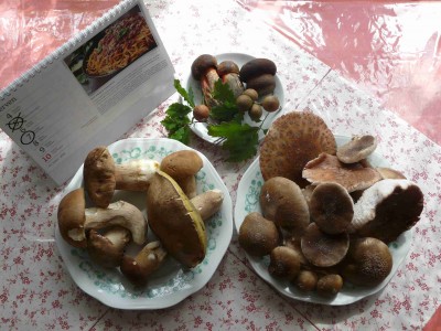 A zkoušel jsem to zase v 1. lokalitě - slabota.