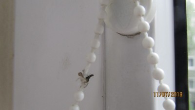 Detail mého nevzhledného fungujícího uzlíku.JPG