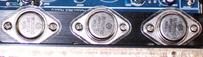 trandy
