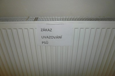 zákaz psů.jpg