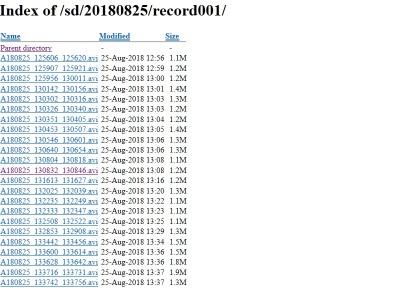 record ip cam.jpg