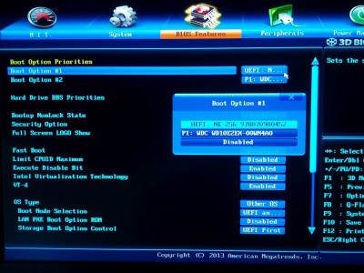 bios_boot_setting.jpg
