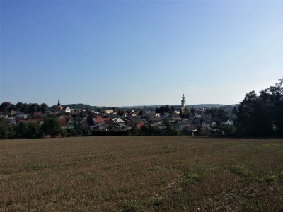 20180928_154309small.jpg