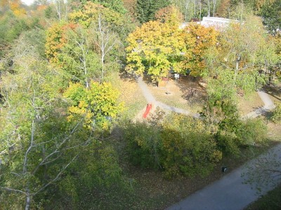 pic03.jpg