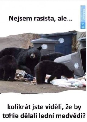 medni_ledvedi.jpg