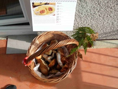 Kdysi u nás jeden prohlašoval "Není to nic, ale je to" :-)))