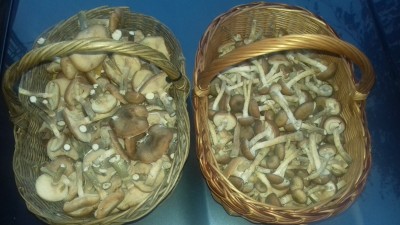 20181020_173112.jpg