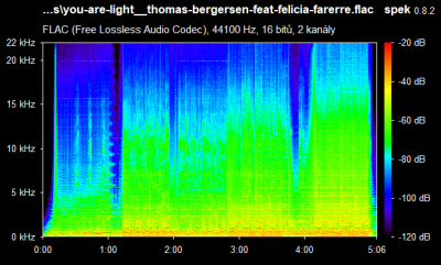 flac.png
