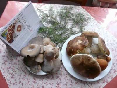 Dnes :-)
