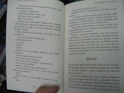 sv04.jpg