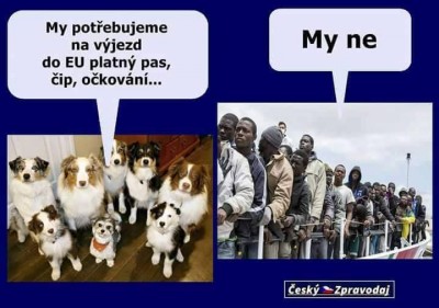 očkovanie.jpg
