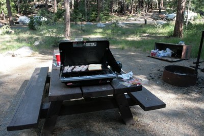 lunch on YNP.