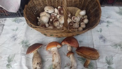 20181103_134143.jpg
