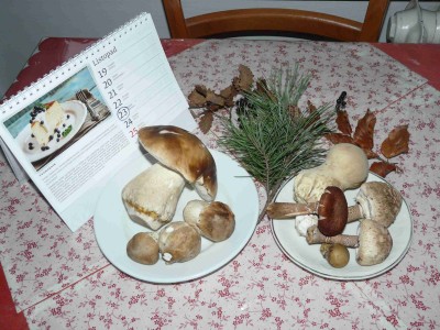 Dnes: 23.11. !!!!!!!!!
<br />Nakonec ti praváci daly téměř sušičku :))