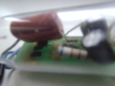 P1010058.JPG