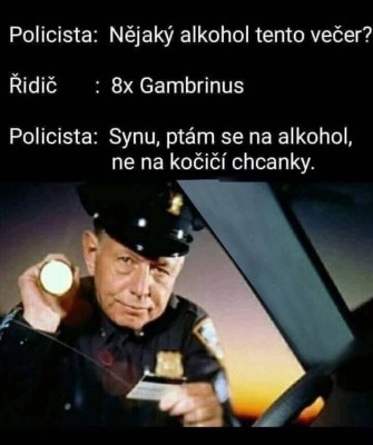 kocicichcanky.jpg