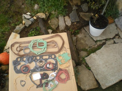 DSCN0800.jpg