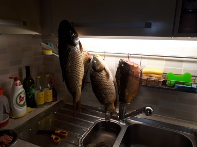 20181222_121357.jpg