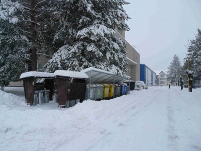 Po 13. hod., když šly děcka ze školy (škola je v pozadí na foto - na záběru je vidět prosklené schodiště), spadla z borovice pořádná větev o průměru víc než 10cm! a zdemolovala 1 popelnici. Děcka se postrašeně rozutekly - naštěstí nespadla až na cestu, al