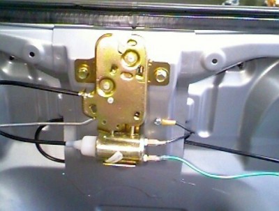 trunk_01.JPG