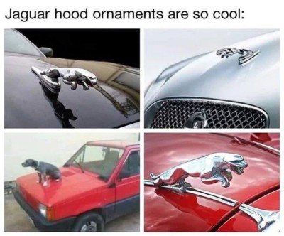 Jaguars.jpg