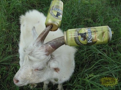 velkopopovický kozel.jpg