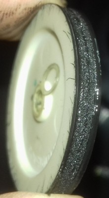 20190416_155006a.jpg
