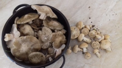 20190501_140701.jpg