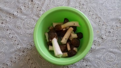 20190413_151240.jpg