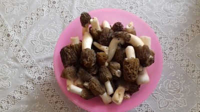 20190409_145419.jpg