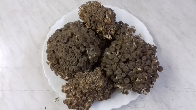 20190610_200310.jpg