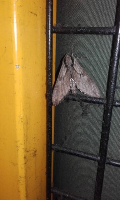 20180612_065401.jpg