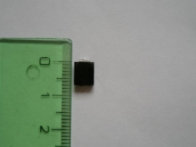 P6200051.JPG