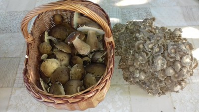 20190626_175856.jpg