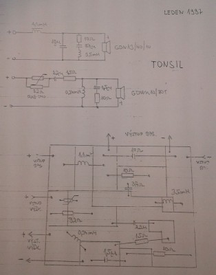 TONSIL 2.jpg