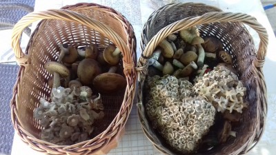 20190703_172357.jpg