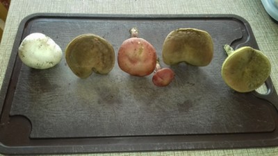 20190822_100705.jpg