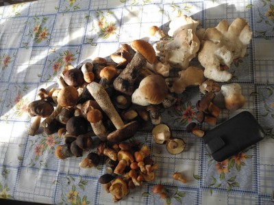 DSCN8356.JPG