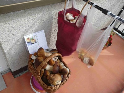 Dnes :-)