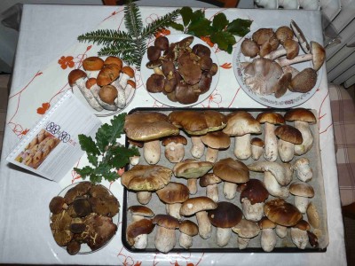 Dnes - odpoledne