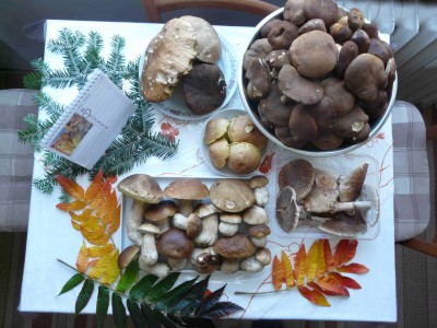 Dnes - má "poslední" lokalita