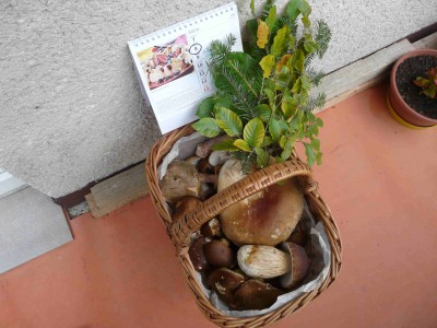 Dnes