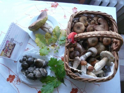 Dnes