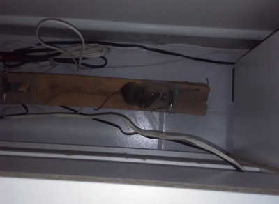 mice.png