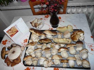 Jak dlouho ještě asi?