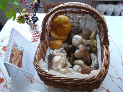 Dnes