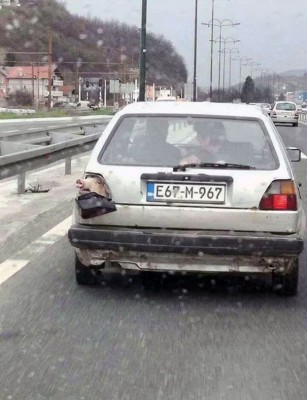 VW_Pigrabbit.jpg