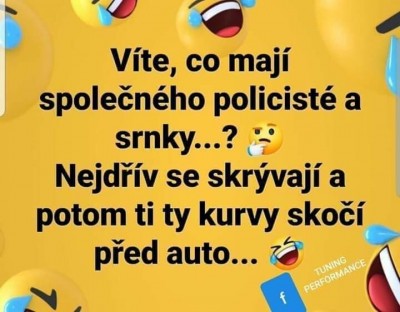 PaChové a srnky.jpg