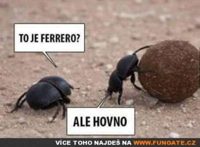 hovnivaove.jpg