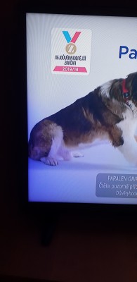 obraz1.jpg